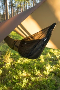 Lesovik Larva -Terre Sauvage lesovik larva 02