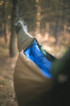 Lesovik Larva -Terre Sauvage lesovik larva 06