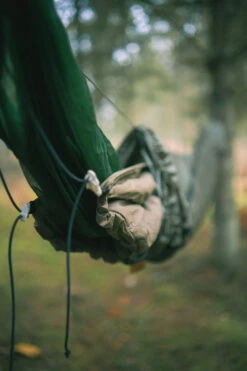 Lesovik Larva -Terre Sauvage lesovik larva 11