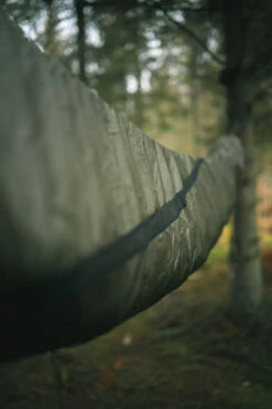 Lesovik Larva -Terre Sauvage lesovik larva 12