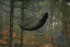 Lesovik Larva -Terre Sauvage lesovik larva 15