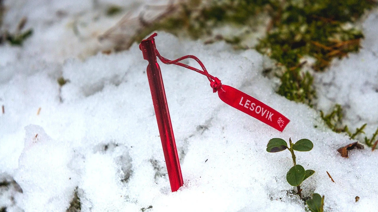 Lesovik Spig Peg 5 Lesovik Spig Peg – Image 5