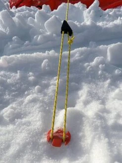 Sardine SwissPiranha RT220 - 22 Cm -Terre Sauvage sardine plastique swisspiranha rt 220 04