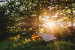 Lesovik Zmora -Terre Sauvage tarp lesovik zmora vert 07