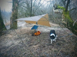 Lesovik Zmora -Terre Sauvage tarp lesovik zmora 10