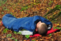 Ticket To The Moon Moonquilt -Terre Sauvage ticket to the moon moonquilt 07